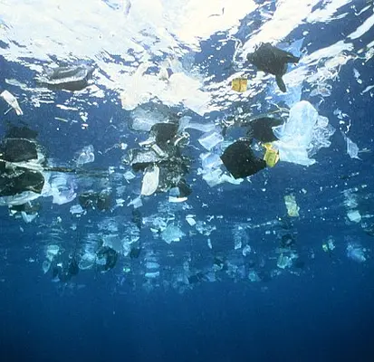 Mudango y el desafío cero plástico en las mudanzas